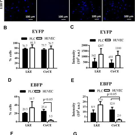 eBFP .